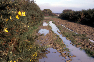 1984-North-near-West-Lane
