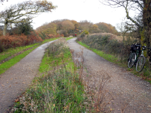2014-North-near-West-Lane