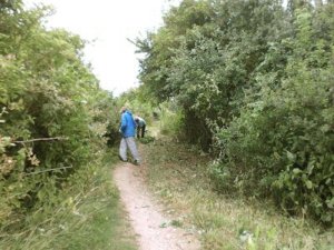 Volunteesr clearing vegetation overhanging a footpath