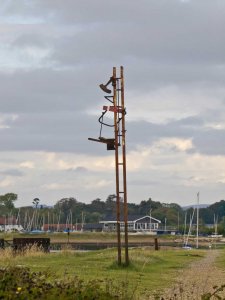 Derelict signal on southern bridge approach. Image Peter Drury