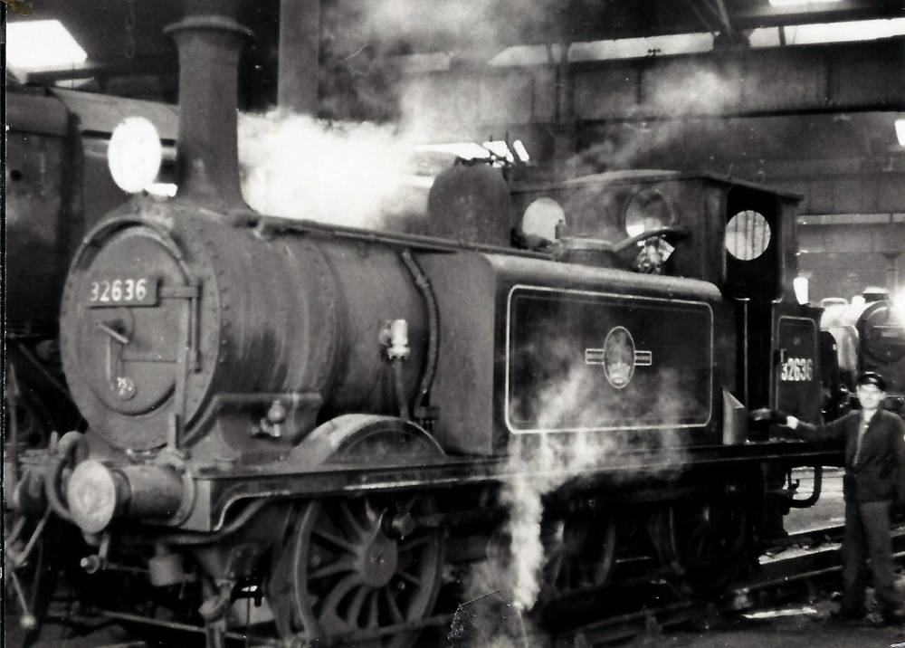 32636-Terrier-slumbering-in-Fratton-Shed. Michael Harvey collection