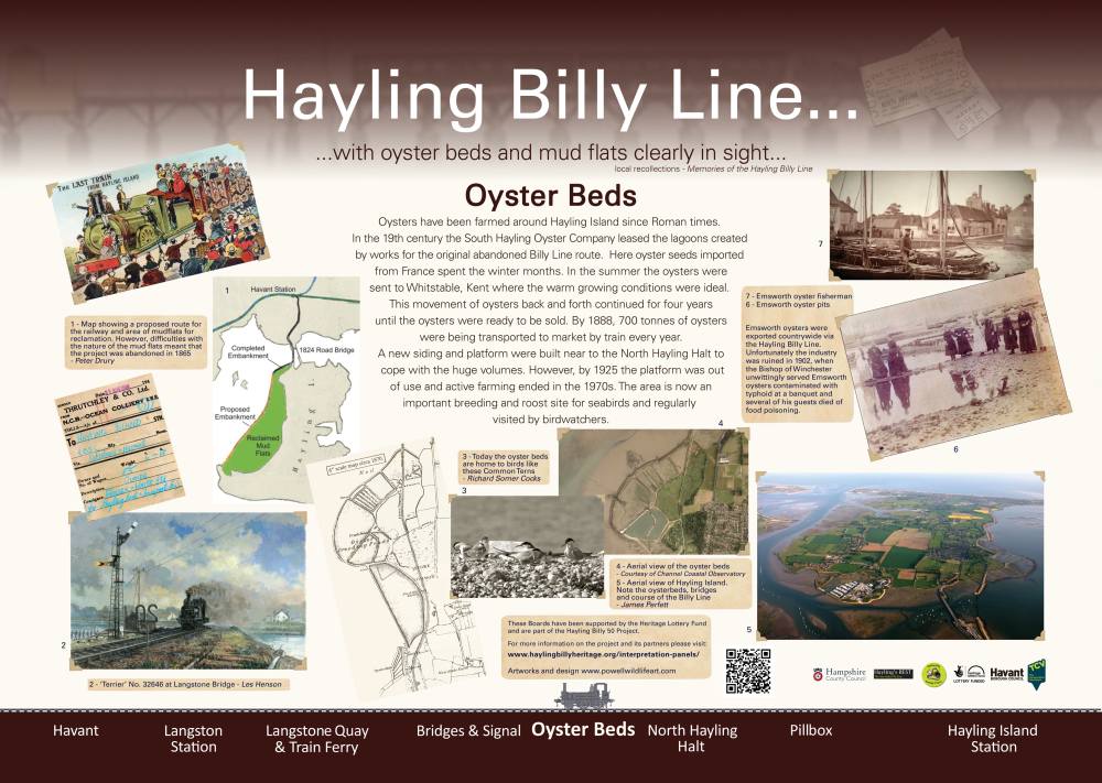 Oyster Beds Interpretation Panel - Dan Powell